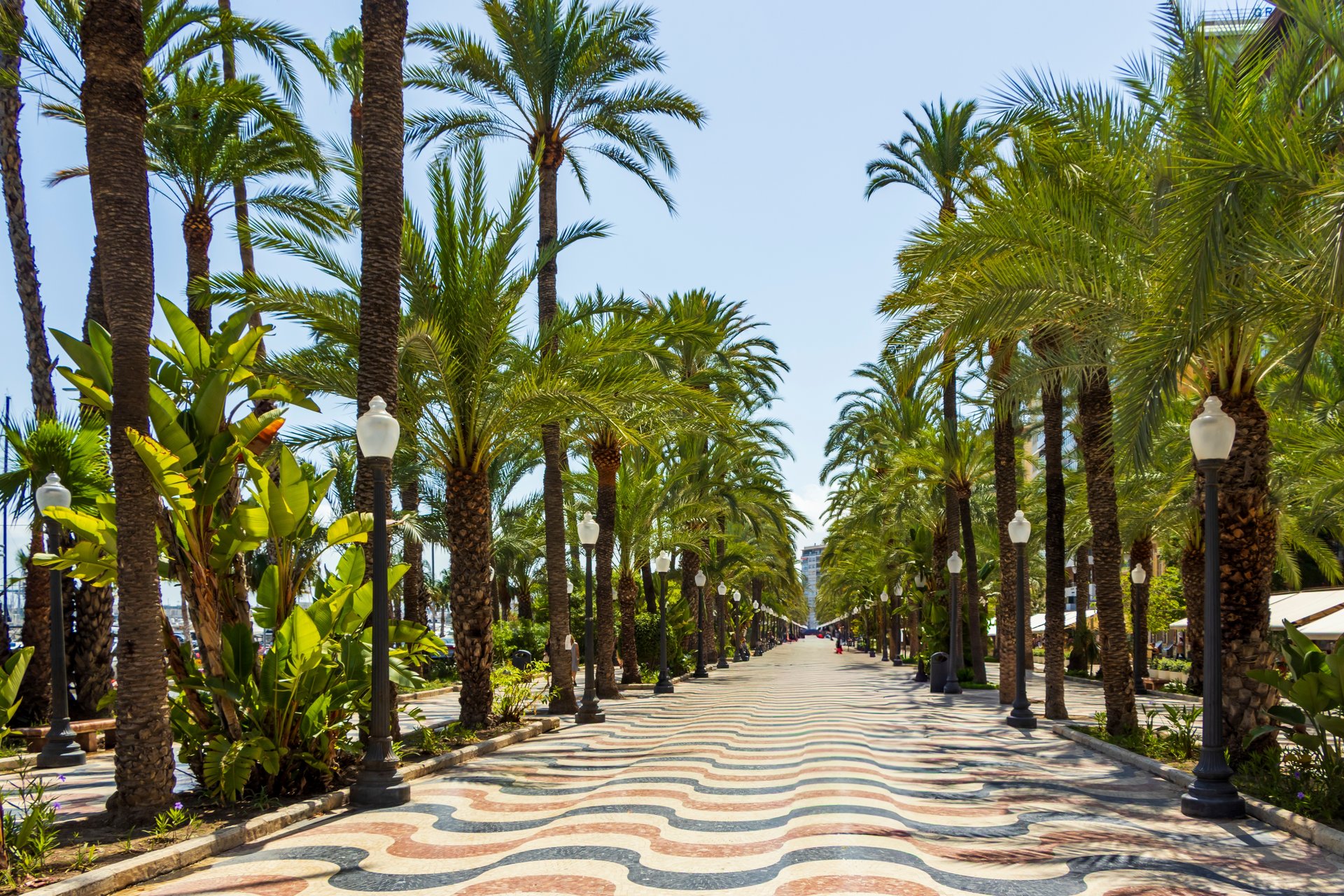 Palmenboulevard aan de Costa Blanca
